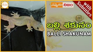 Lizard Science | Balli Shakunam w/subtitles|బల్లి మీద పడిందా|Superstition or Belief|Nammakam Nijam
