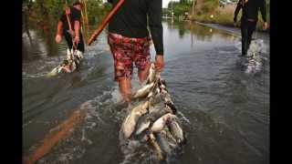 Let's Talk About Real