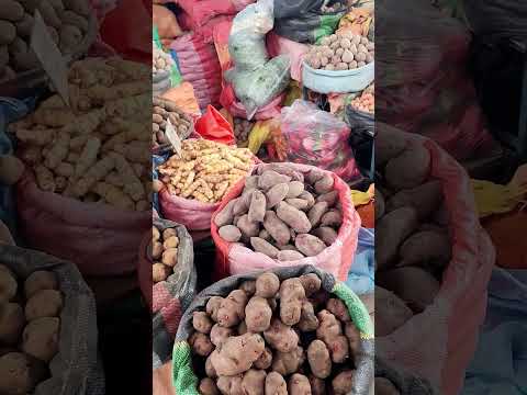 ¡AREQUIPA SORPRENDE! 🌋 Del Misti al Mercado San Camilo 🍹