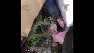 В Приморье обнаружена свалка гуманитарной помощи