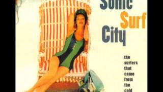 Sonic Surf City "Surfin' Kitty"