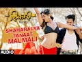 SHAHARALYA TANAAT MALMALI SHIKARI Marathi Movie JULEE JOGLEKAR AJIT PARAB