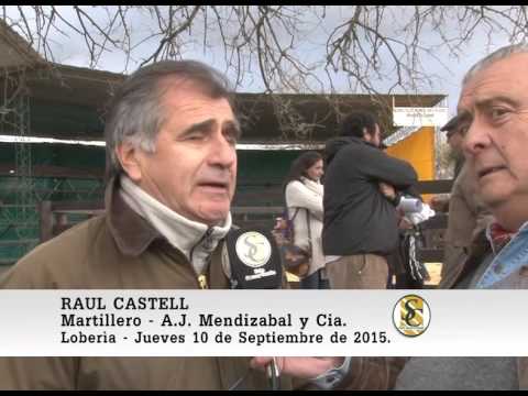 10-09-15 Nota Raul Castell - Cabaña La Adelina y Santa Rosa - Loberìa.