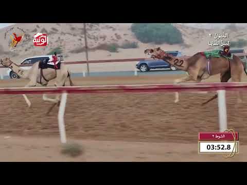  ش 2 (وصايف) لـ ناصر جمعه سالم الرزي الشامسي 6:21 , شارة الديوان 2 2026/09/26 لقايا اللبسه 
