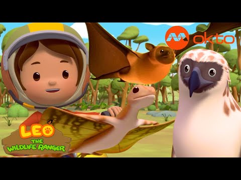 FLYING DRACO LIZARD Adventure INDIA 🦎🌳✨ | Leo Compilation | @mediacorpokto