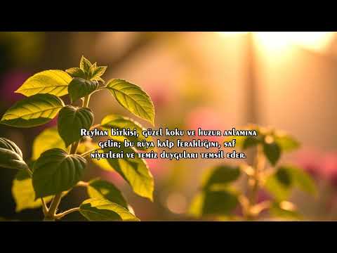 What does it mean to see basil in a dream? What does it indicate?