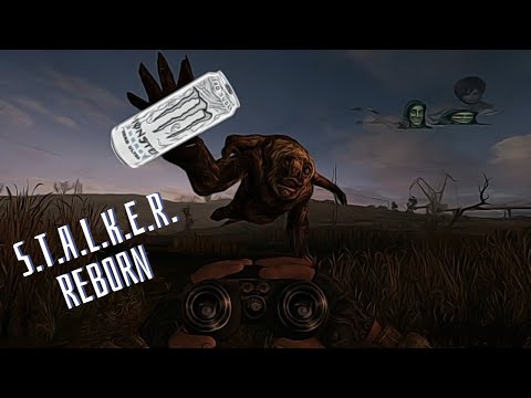 S.T.A.L.K.E.R. Reborn