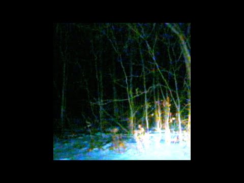 ✦ free sad indie type beat "sick"