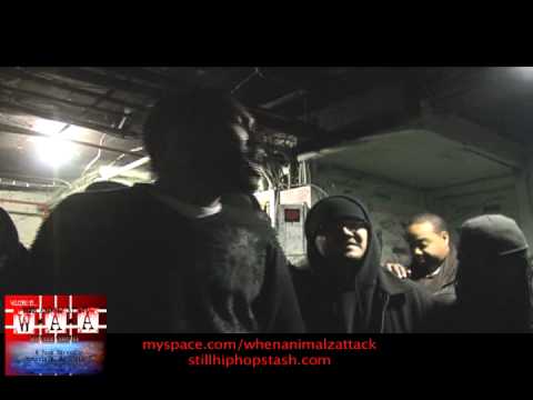 Broken Pen vs Paranormal Ezac