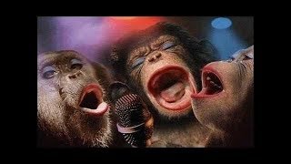 System Of A Down - Chop Suey (Animal Edition | Cover)| Животные Кавер| SOAD
