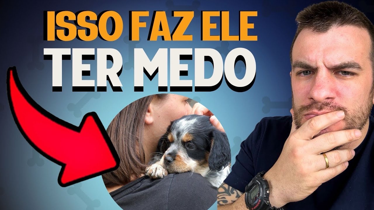3 MAIORES ERROS QUE FAZEM O SEU CACHORRO FICAR MEDROSO