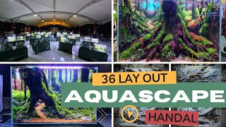 #364 Amazing bro,Inspirasi lay out Aquascape 2022