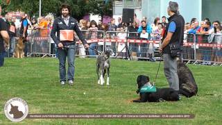 preview picture of video 'III Concurso Canino - perros con y sin raza - Galdakao 15/09/2013'