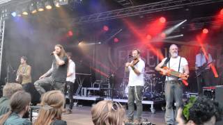 MPS Wassenberg 2017 * Versengold - Funkenflug