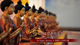 36th Kagyu Monlam - Day Six - Morning Session