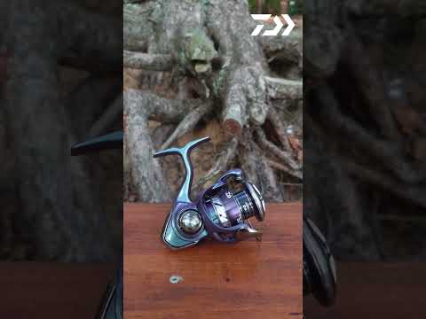 Kołowrotek Daiwa 24 Regal LT 3000