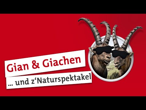 Gian und Giachen: "Naturspektakel"