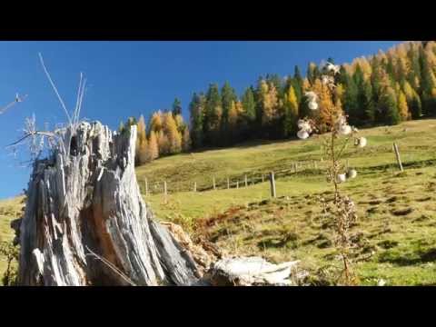 Indian Summer in den Alpen - 4K