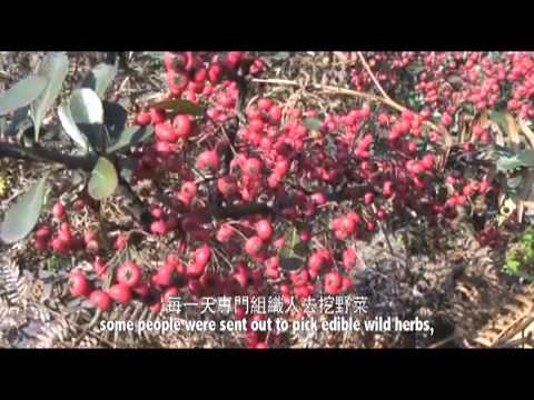 【泛华网】《大堡小劳教》片花