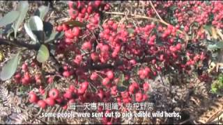 【泛华网】《大堡小劳教》片花