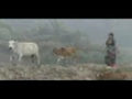 Nuru Song