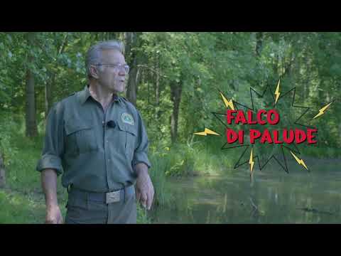 Visita guidata al Complesso Morenico di Castiglione delle Stiviere