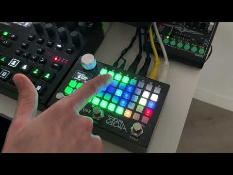 Midas Hand for Zoia: Performance Dynamics Processor