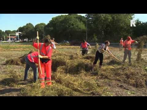 Rijnmond Nieuws - 26 augustus 2013