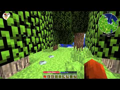 Hrajeme srdcem (TFC) - Výprava do přírody (2.díl)