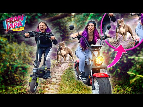 APARECEU UM CACHORRO NA RUA !! FICAMOS COM MUITO MEDO !! - Fran Japa