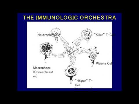 Getting to Know Primary Immunodeficiency