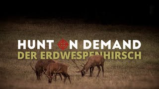 Teil 4 - 50 JAHRE UNGARN 🇭🇺 DER ERDWESPENHIRSCH