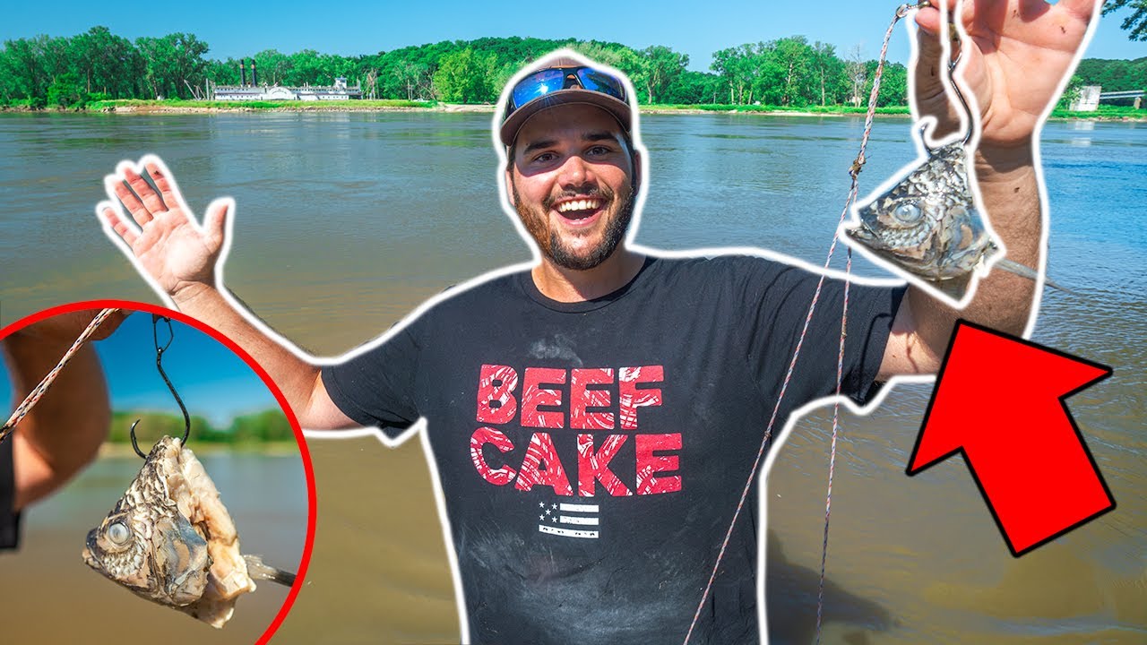 Giant CUTBAIT Catfishing CHALLENGE! (Catch Clean Cook)
