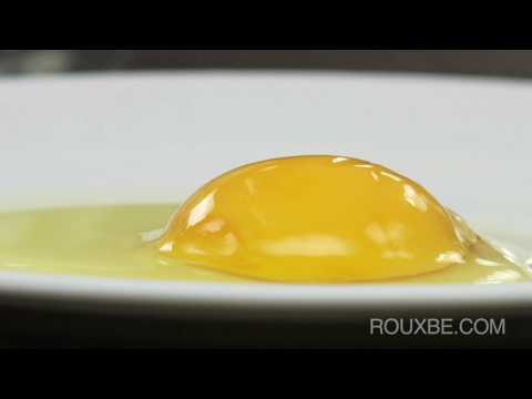 Egg Cooking Basics - "Egg Anatomy"