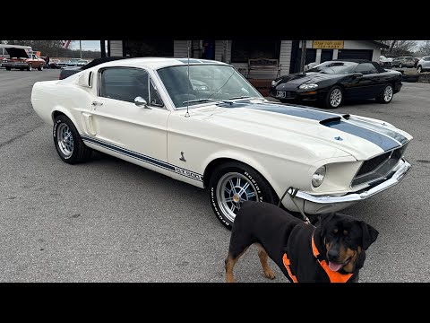 Test Drive 1967 Ford Mustang Fastback $49,900 Maple Motors #3212