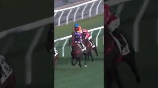 Download lagu 11 | 6 | SUPER EXPRESS | M Guyon | #Horse #Racing #Sport #Results #賽馬結果 #马會 #油管 #赛马结果 mp3 Download lagu 11 | 6 | SUPER EXPRESS | M Guyon | #Horse #Racing #Sport #Results #賽馬結果 #马會 #油管 #赛马结果 mp3