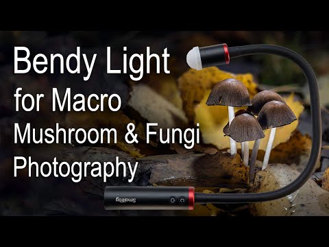 Flexibles Licht für Makrofotografie von Pilzen und anderen Pilzarten - Smallrig RM03