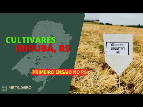 Ensaio no RS - Início da Semeadura 