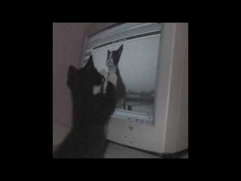 [free for profit] xavier wulf x cloud rap type beat - "Dont leave me"