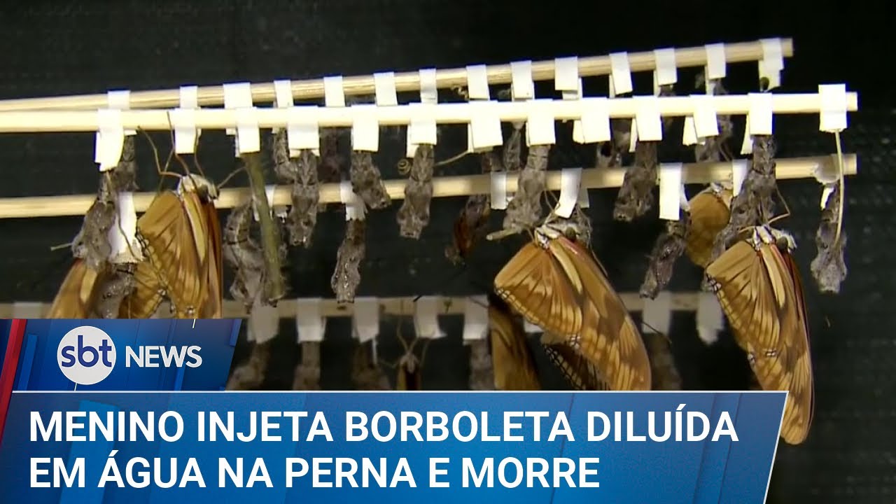 Adolescente morre após esmagar borboleta e injetar líquido no corpo | #SBTNews (18/02/25)