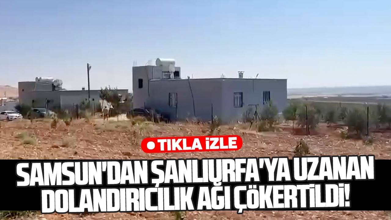 Samsun'dan Şanlıurfa'ya uzanan dolandırıcılık operasyonu