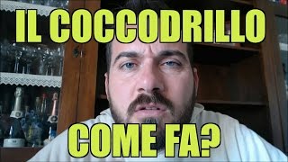 Il coccodrillo come fa