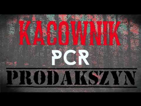 KACOWNIK - PYTAJĄ WSZYSCY (/PCR.PRODAKSZYN)