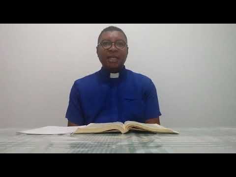 Reflexão do Evangelho. 12/05/2020