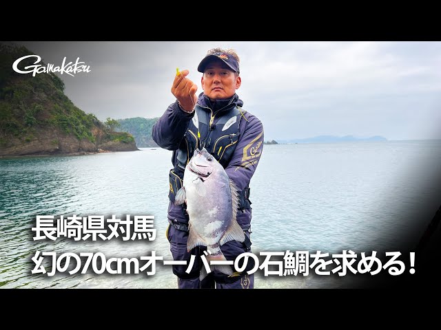 がま石 レギス3 | がまかつ がま石 レギス3 | がまかつ