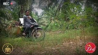 Download lagu SHOLAWAT BURDAH AL KHIDMAH mp3 Download lagu SHOLAWAT BURDAH AL KHIDMAH mp3