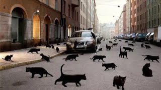 СИЛЬНАЯ ЧИСТКА ОТ НЕУДАЧ И НЕВЕЗЕНИЯ...ДЛЯ ВСЕХ..