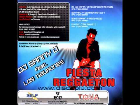 Dj Sanny J Ft. Los Tiburones_ Fiesta Reggaeton ( Tek Mix  top 2k11)
