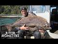The BIGGEST FISH Caught In Season 7 Of River Monsters