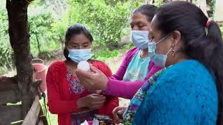 Vacunación Pecuaria Momostenango